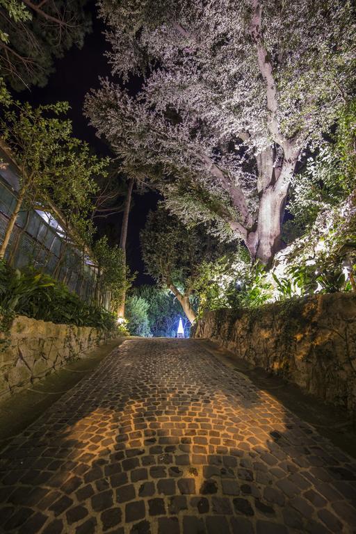 La Canonica Dei Fiori - Anna Fendi Country House Hotel Ronciglione  Bagian luar foto